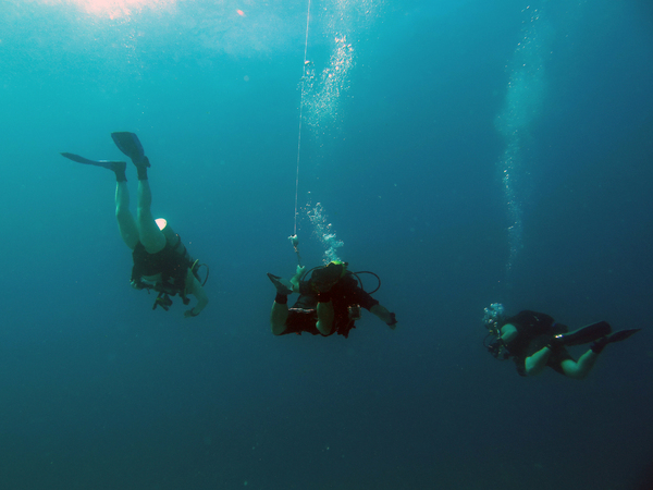 Dayo Scuba Center LLC, Orlando Florida www.dayo.com