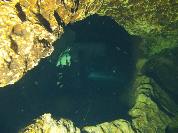 Dayo Scuba Center LLC, Orlando Florida www.dayo.com