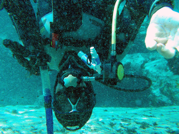 Dayo Scuba Center LLC, Orlando Florida www.dayo.com