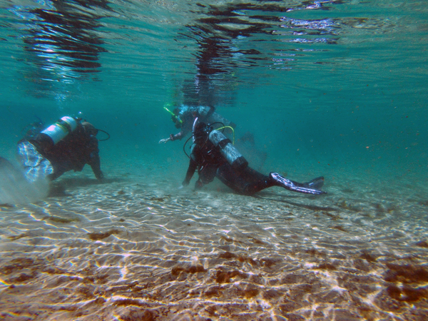 Dayo Scuba Center LLC, Orlando Florida www.dayo.com