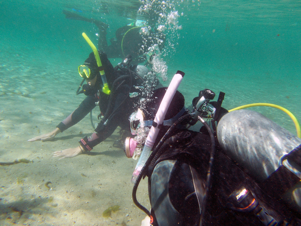 Dayo Scuba Center LLC, Orlando Florida www.dayo.com