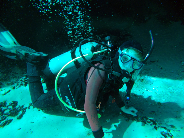 Dayo Scuba Center LLC, Orlando Florida www.dayo.com