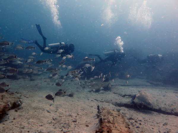 Dayo Scuba Center LLC, Orlando Florida www.dayo.com