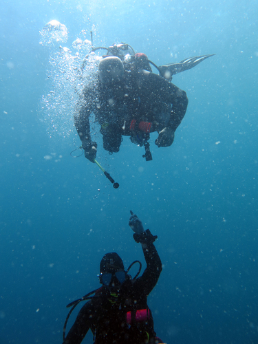 Dayo Scuba Center LLC, Orlando Florida www.dayo.com