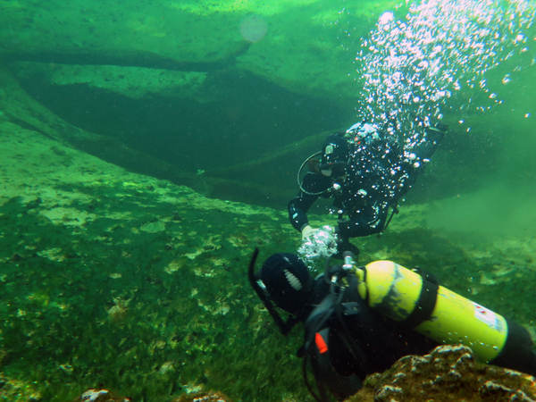 Dayo Scuba Center LLC, Orlando Florida www.dayo.com