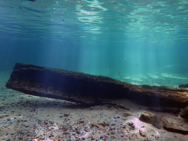 Dayo Scuba Center LLC, Orlando Florida www.dayo.com
