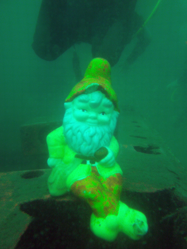 Dayo Scuba Center LLC, Orlando Florida www.dayo.com