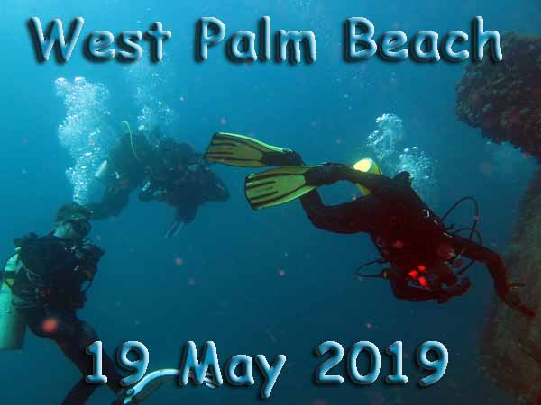 Dayo Scuba Center LLC, Orlando Florida www.dayo.com