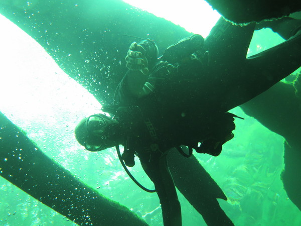 Dayo Scuba Center LLC, Orlando Florida www.dayo.com
