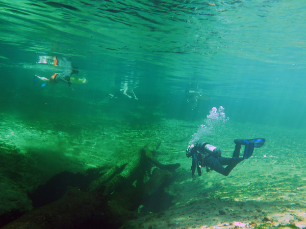 Dayo Scuba Center LLC, Orlando Florida www.dayo.com