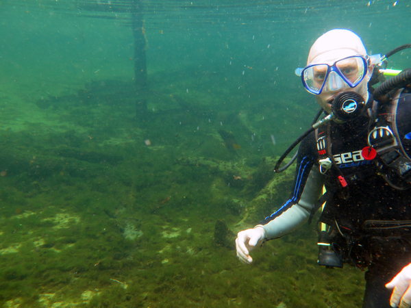 Dayo Scuba Center LLC, Orlando Florida www.dayo.com
