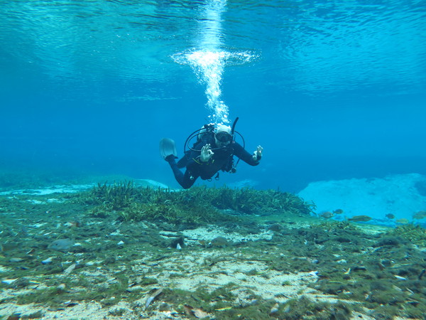 Dayo Scuba Center LLC, Orlando Florida www.dayo.com