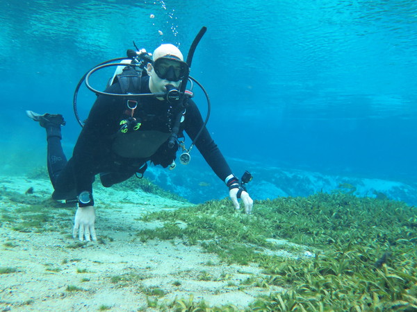 Dayo Scuba Center LLC, Orlando Florida www.dayo.com