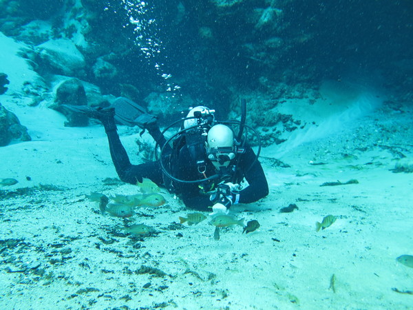 Dayo Scuba Center LLC, Orlando Florida www.dayo.com