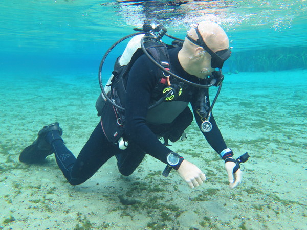 Dayo Scuba Center LLC, Orlando Florida www.dayo.com