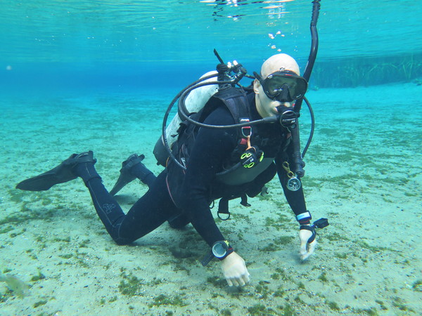 Dayo Scuba Center LLC, Orlando Florida www.dayo.com