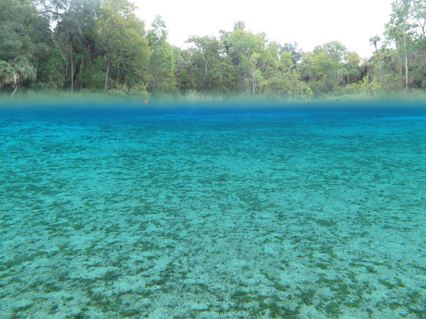 Dayo Scuba Center LLC, Orlando Florida www.dayo.com