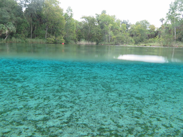 Dayo Scuba Center LLC, Orlando Florida www.dayo.com