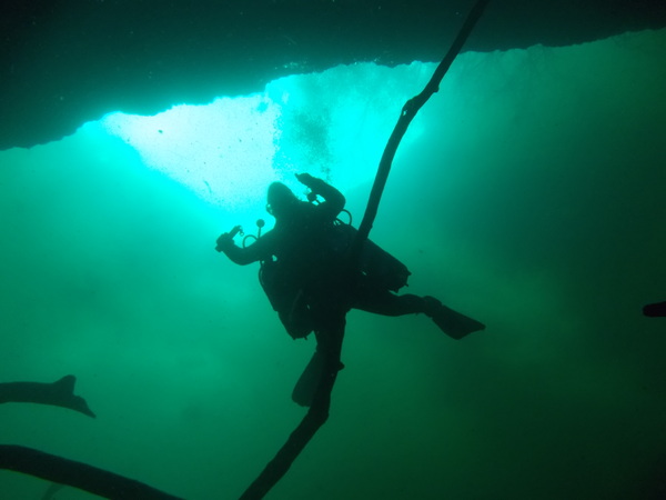 Dayo Scuba Center LLC, Orlando Florida www.dayo.com