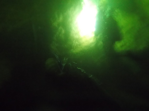 Dayo Scuba Center LLC, Orlando Florida www.dayo.com