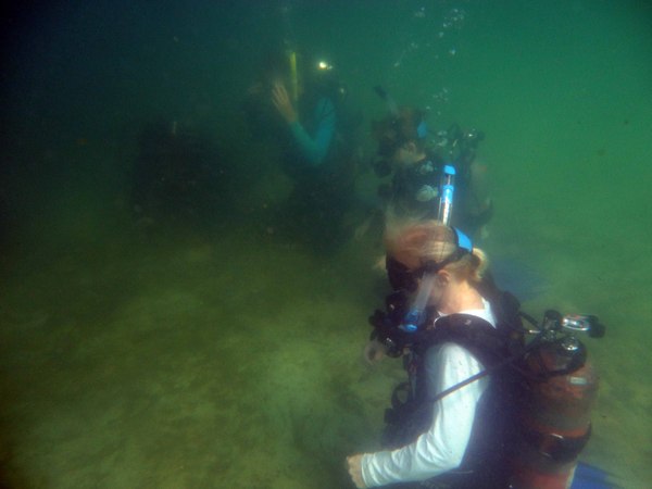 Dayo Scuba Center LLC, Orlando Florida www.dayo.com