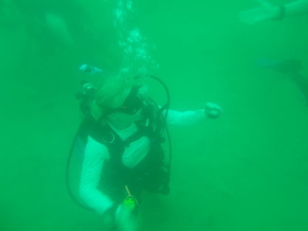 Dayo Scuba Center LLC, Orlando Florida www.dayo.com