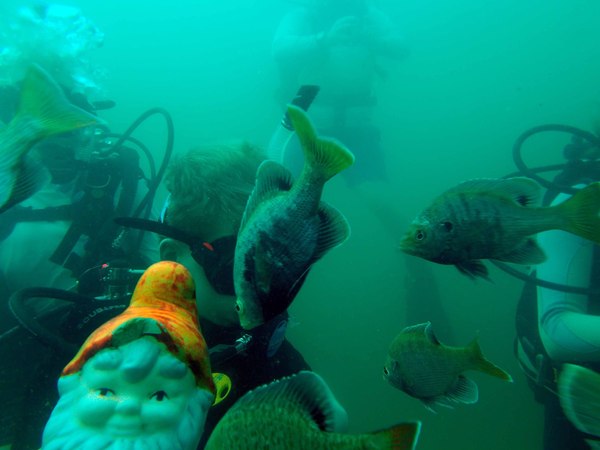 Dayo Scuba Center LLC, Orlando Florida www.dayo.com