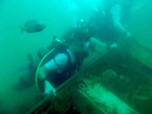 Dayo Scuba Center LLC, Orlando Florida www.dayo.com