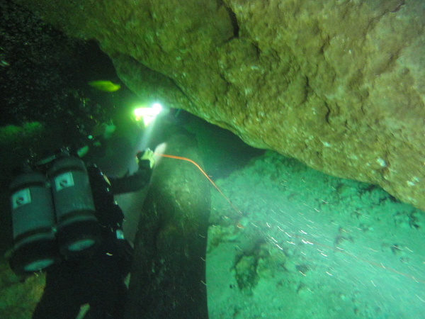Dayo Scuba Center LLC, Orlando Florida www.dayo.com
