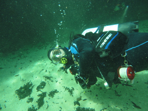 Dayo Scuba Center LLC, Orlando Florida www.dayo.com
