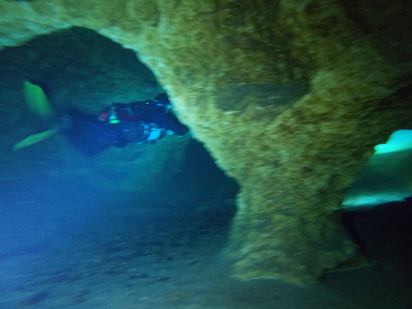 Dayo Scuba Center LLC, Orlando Florida www.dayo.com