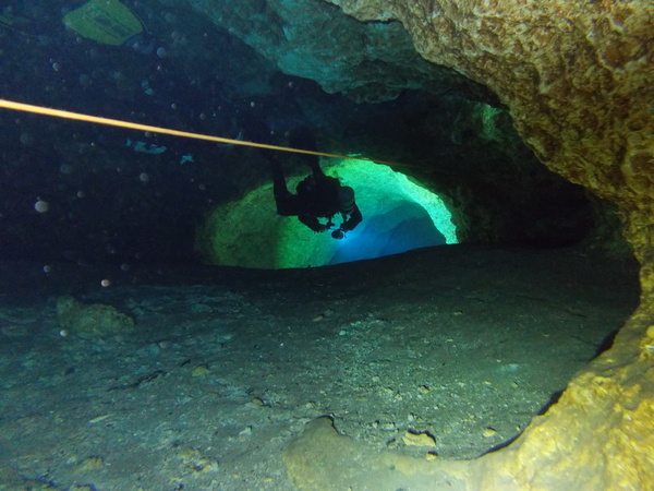 Dayo Scuba Center LLC, Orlando Florida www.dayo.com