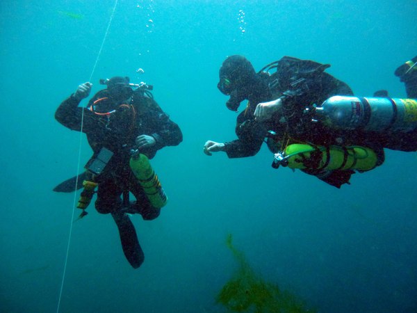 Dayo Scuba Center LLC, Orlando Florida www.dayo.com