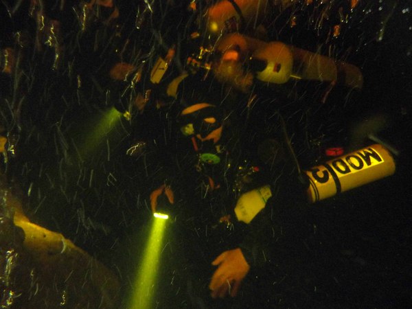 Dayo Scuba Center LLC, Orlando Florida www.dayo.com