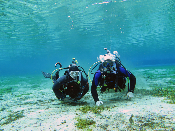 Dayo Scuba Center LLC, Orlando Florida www.dayo.com