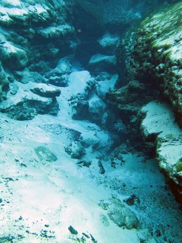 Dayo Scuba Center LLC, Orlando Florida www.dayo.com