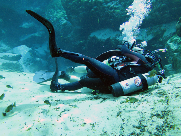 Dayo Scuba Center LLC, Orlando Florida www.dayo.com