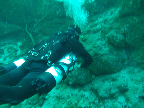 Dayo Scuba Center LLC, Orlando Florida www.dayo.com