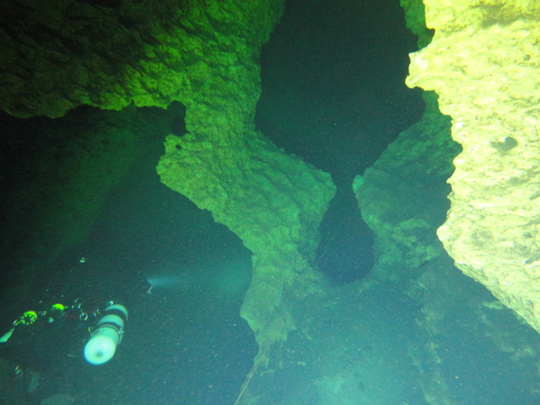 Dayo Scuba Center LLC, Orlando Florida www.dayo.com