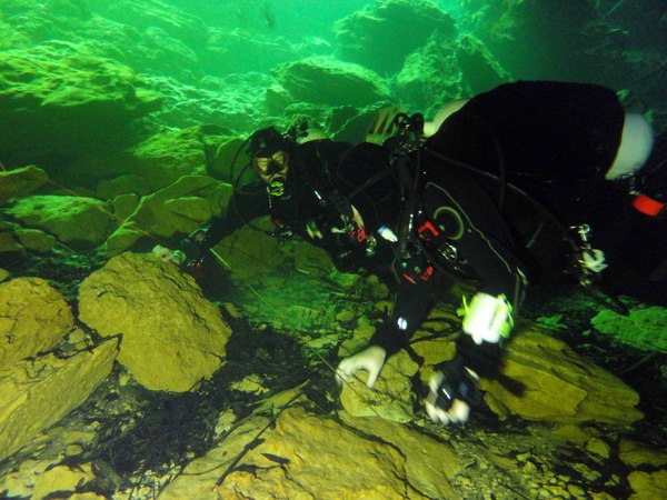 Dayo Scuba Center LLC, Orlando Florida www.dayo.com