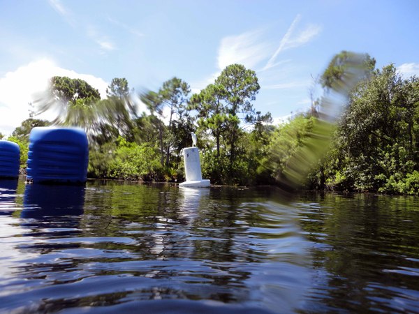 Dayo Scuba Center LLC, Orlando Florida www.dayo.com