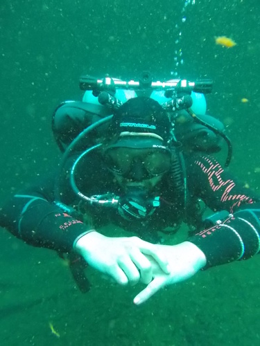 Dayo Scuba Center LLC, Orlando Florida www.dayo.com
