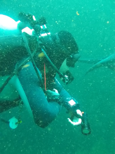 Dayo Scuba Center LLC, Orlando Florida www.dayo.com