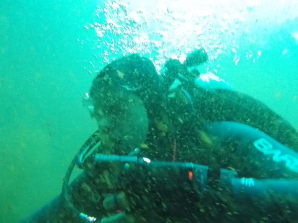 Dayo Scuba Center LLC, Orlando Florida www.dayo.com
