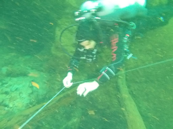 Dayo Scuba Center LLC, Orlando Florida www.dayo.com
