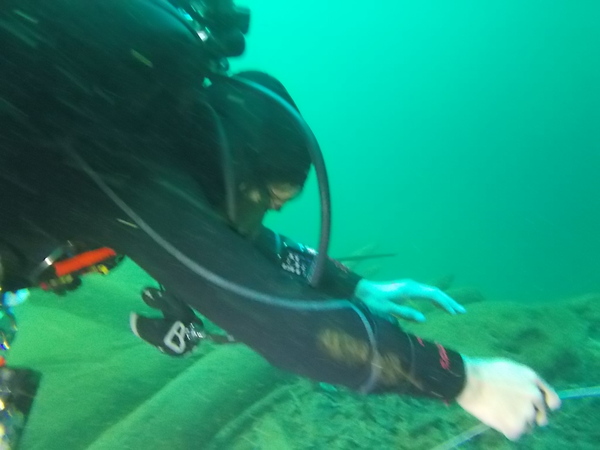 Dayo Scuba Center LLC, Orlando Florida www.dayo.com