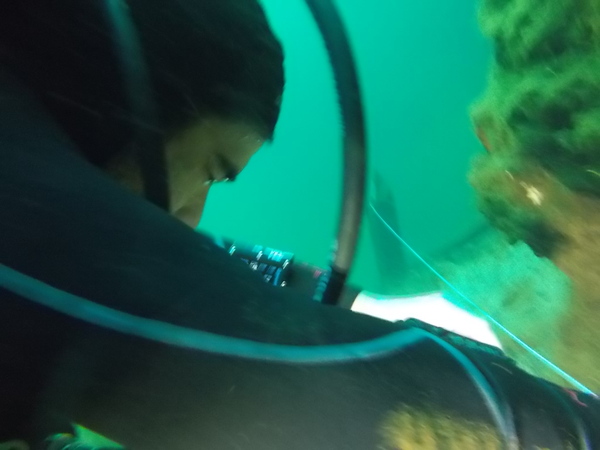Dayo Scuba Center LLC, Orlando Florida www.dayo.com