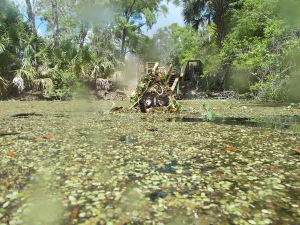 Dayo Scuba Center LLC, Orlando Florida www.dayo.com