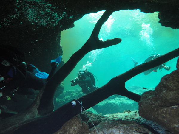 Dayo Scuba Center LLC, Orlando Florida www.dayo.com