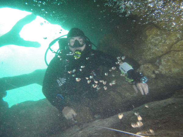 Dayo Scuba Center LLC, Orlando Florida www.dayo.com